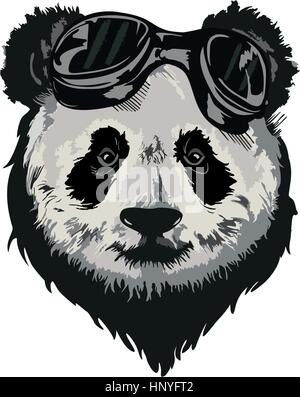 Bianco e nero disegno vettoriale di un panda gigante del viso. Illustrazione Vettoriale