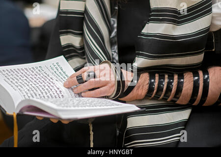 Un uomo ebraico ortodosso che indossa filatteri in un servizio mattutino nei giorni feriali in una sinagoga a Crown Heights, Brooklyn, New York. Foto Stock