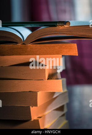 Pila di libri nella luce della candela Foto Stock