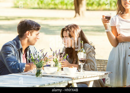 Amici in chat su vino a raccolta esterna Foto Stock