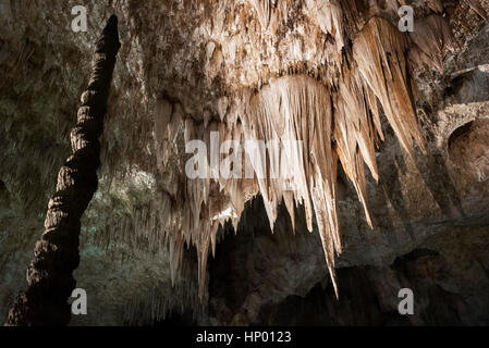 Stalattiti pendono dal soffitto di una grotta nel Parco nazionale di Carlsbad Cavern, Nuovo Messico, STATI UNITI D'AMERICA Foto Stock