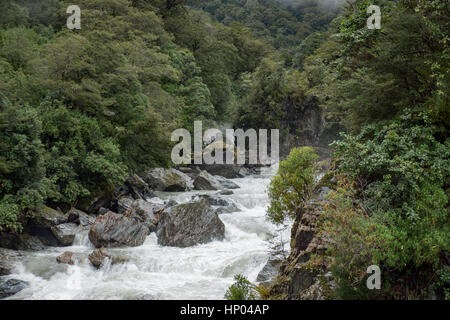 Haast river rapids nel montare gli aspiranti il Parco Nazionale di South Island, in Nuova Zelanda. Foto Stock