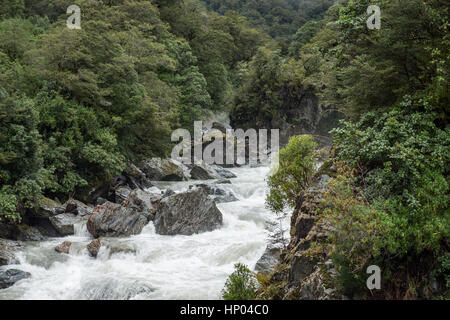 Haast river rapids nel montare gli aspiranti il Parco Nazionale di South Island, in Nuova Zelanda. Foto Stock