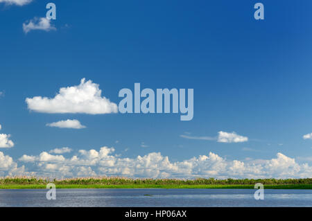 La Colombia, Amazonas paesaggio. La foto presente sul fiume Amazon. Foto Stock