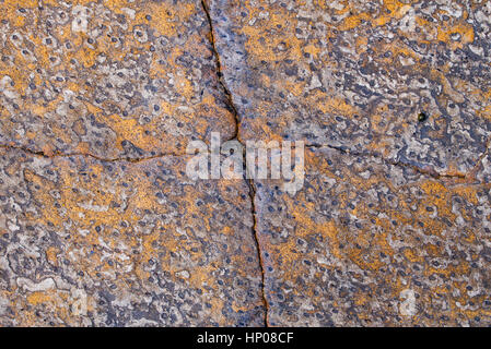 Rocce carbonifero con tacche regolari a Scremerston, Berwick Upon Tweed, Northumberland, Inghilterra Foto Stock