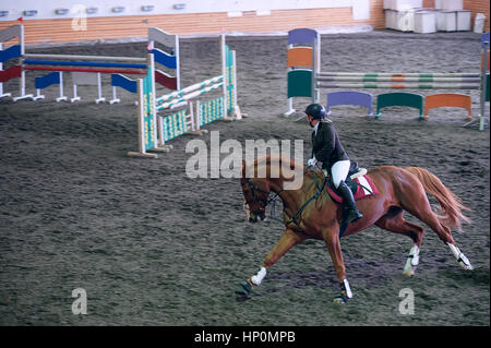 Bella ragazza giovane fantino con il suo cavallo medicazione concorrenza uniforme Foto Stock