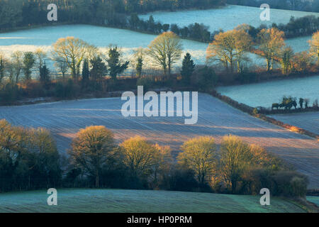 Alba sulle ondulate colline gallesi, a Trellech, nel Galles del Sud. Foto Stock