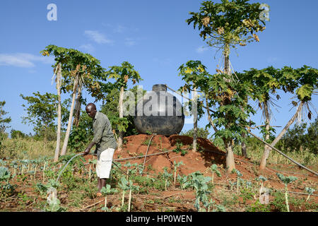 Il Kenya, il Monte Kenia orientale, regione sud Ngariama , agricoltore irriga nuovo piantato piante vegetali, dietro la plastica del serbatoio di acqua per irrigazione Foto Stock