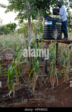 Il Kenya, il Monte Kenia orientale, regione sud Ngariama , progetto stagni di acqua e di irrigazione a goccia durante periodi di siccità Foto Stock