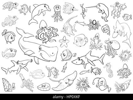 Bianco e Nero Cartoon illustrazioni di mare la vita degli animali e di pesce gruppo di caratteri nella pagina di colorazione Illustrazione Vettoriale