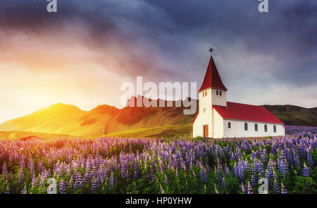 Chiesa luterana di Vik. I pittoreschi paesaggi di foreste un Foto Stock