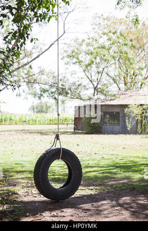 Tire Swing appeso da albero Foto Stock