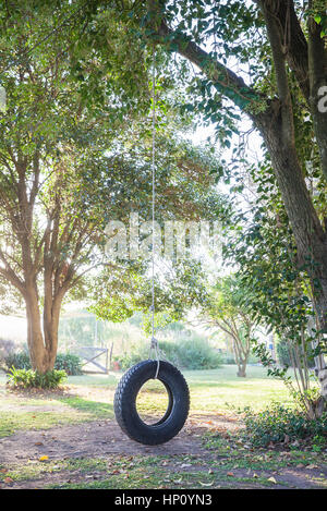 Tire Swing appeso da albero Foto Stock