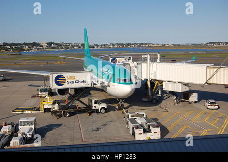 Aer Lingus Airbus A330-300, Aeroporto Internazionale Logan di Boston Foto Stock