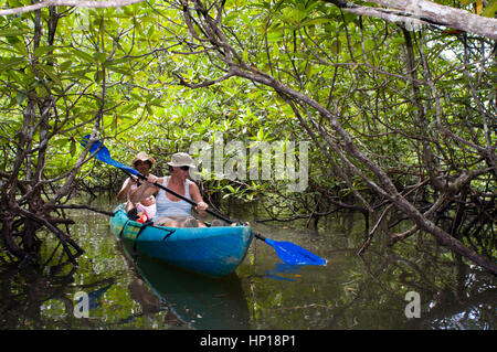 Le persone godono di imbottitura in kayak attraverso la foresta di mangrovie e grotta marina. SEAKAYAK Bor Thor. Krabi. Thailandia. Asia. La parte nord della provincia di Krabi vanta Foto Stock