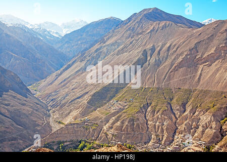 Oasi di verde nella Spiti valley, la vista dal villaggio di Nako, Himachal Pradesh, India. A schiera il concetto di agricoltura. Foto Stock