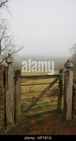 Antico cancello di legno con un campo di nebbia sullo sfondo Foto Stock