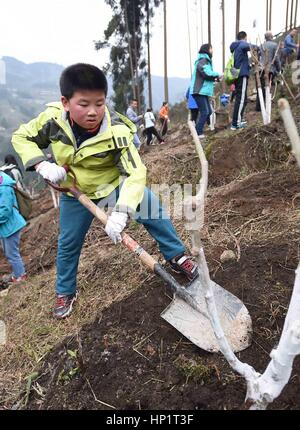 Shifang, cinese della provincia di Sichuan. 18 Febbraio, 2017. Volontari piantare alberi in Yinghua township di Shifang City, a sud-ovest della Cina di provincia di Sichuan, Feb 18, 2017. Una piantagione di alberi evento è stato tenuto in Shifang sabato. Credito: Xue Yubin/Xinhua/Alamy Live News Foto Stock