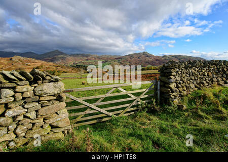 Un cancello di legno che si affacciava sulla fells a Grimecrag vicino Ulpha nel Lake District in Cumbria Foto Stock