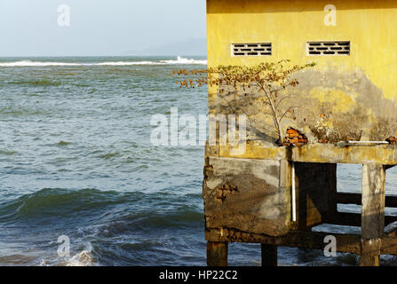 Casa su palafitte in mare aperto. albero solitario cresciuto in casa. Foto Stock