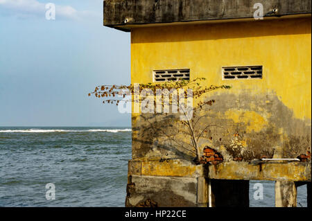 Casa su palafitte in mare aperto. albero solitario cresciuto in casa. Foto Stock