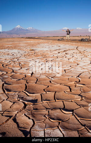 Asciutto, incrinato, terreno, pavimento e sale, Valle de la Luna (Valle della Luna) vicino a San Pedro de Atacama, deserto di Atacama. Regione di Antofagasta. Cile Foto Stock
