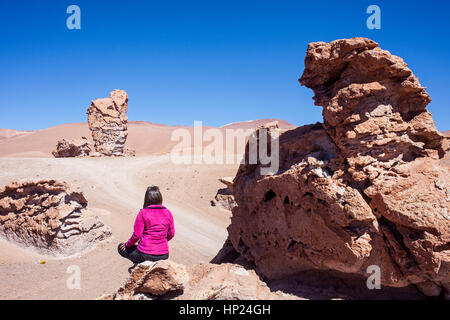 Formazioni rocciose femminili e vulcaniche, bomba piroclastica, vicino a Salar de Aguas Calientes, Altiplano, Puna, deserto di Atacama. Regione di Antofagasta. Cile Foto Stock