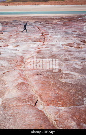 Turismo, Piedras Rojas, a Salar de talar o Salar de Aguas Calientes, Salar de Talar, deserto di Atacama, Regione di Antofagasta. Cile Foto Stock