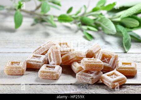 La salvia caramelle su sfondo di legno Foto Stock