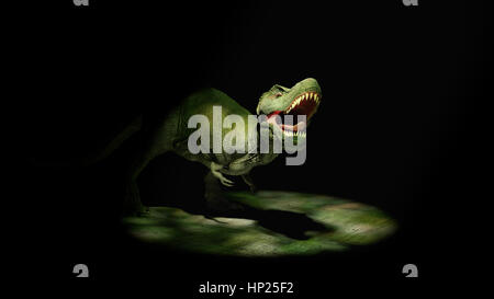 Ruggito T-rex, Tyrannosaurus rex dinosauro entra in Spotlight (3d'illustrazione) Foto Stock