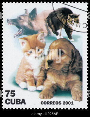 BUDAPEST, Ungheria - 16 febbraio 2017: timbro stampato in Cuba, mostra animali domestici, cani e gatti, circa 2001 Foto Stock