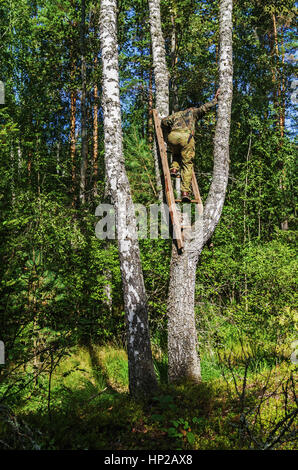 L'uomo rimuove un fungo chaga di betulla. Foto Stock