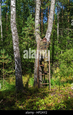 L'uomo rimuove un fungo chaga di betulla. Foto Stock