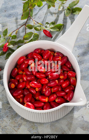 Hagebutten-Marmelade kochen, marmellata aus Hagebutten kochen, geerntete Früchte in einem Topf, Hunds-Rose, Hundsrose, Heckenrose, Rosa, Wildrose, Früc Foto Stock