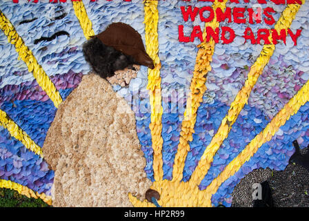 Derbyshire, Regno Unito - 20 Luglio 2014 - Ben medicazione che commemora la nazionale femminile nell esercito di WW2 il 20 luglio a poco Longstone, REGNO UNITO Foto Stock