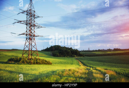 Fantastic sunset over the field of wheat Foto Stock
