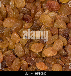 Texture passito. golden raisin sfondo, secco semi di uva sultanina, vegetariana alimenti biologici Foto Stock