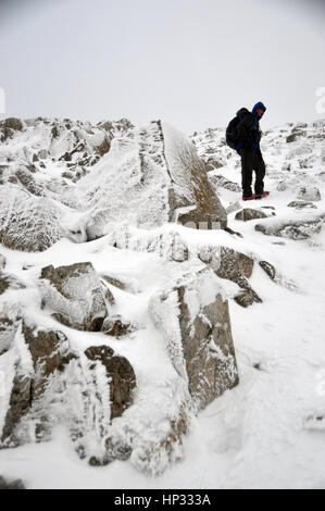 Lone Walker maschio di arrampicata in una tormenta di neve per la Wainwright Esk Pike da Esk Hause in Parco Nazionale del Distretto dei Laghi, Cumbria, Regno Unito. Foto Stock