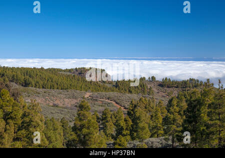 Centrale di Gran Canaria in gennaio, Pozo de Las Nieves - Santa Lucia de Tirajana, percorso intorno a CRuz de Socorro Foto Stock