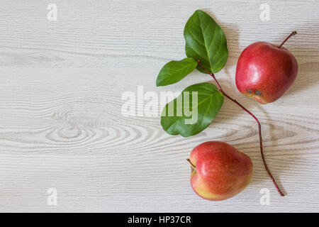 Due mele rosse e ramo verde sono su uno sfondo di legno chiaro closeup Foto Stock