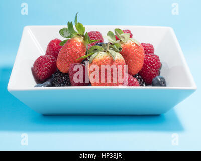 Misto di frutta invernale di mirtilli, lamponi, Blackberry e stawberries in una vaschetta di colore bianco su sfondo blu Foto Stock