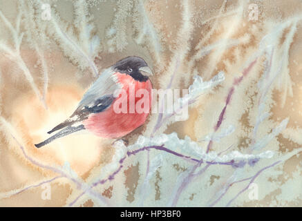 Bullfinch sui rami il pupazzo di neve Foto Stock