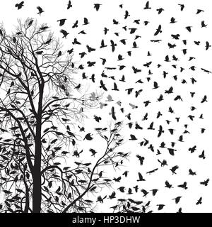 Stormo di corvi su albero Illustrazione Vettoriale