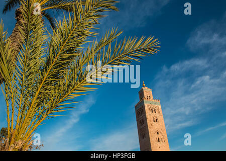 La Moschea di Koutoubia e palm al blue sky ampio sfondo shot Foto Stock