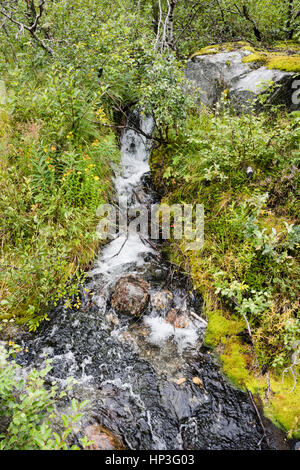 Una piccola cascata nel bosco vicino al sentiero in Jostedal - Norvegia. Questo è il percorso del ghiacciaio Nigardsbreen. Foto Stock