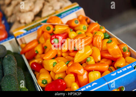 Peperoni gialli, Granada, Andalusia, Spagna, Europa Foto Stock