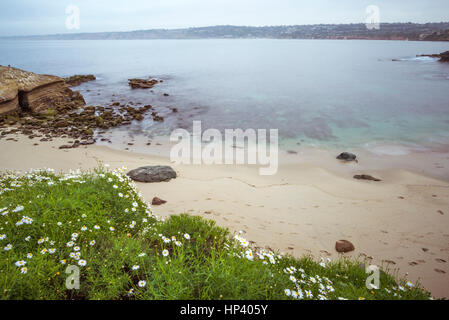 La Jolla Cove Beach e vista costiera su una mattina nuvoloso. La Jolla, California, Stati Uniti d'America. Foto Stock