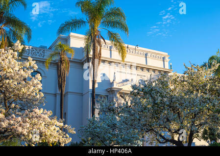 Naturual History Museum, la mattina presto. Balboa Park, San Diego, California, USA. Foto Stock