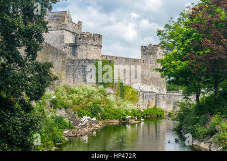 Castello di Cahir, nella contea di Tipperary, munster, irlanda, Europa. Foto Stock