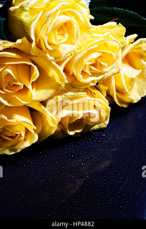 Un bouquet di rose di colore giallo con gocce su uno sfondo scuro. Foto Stock